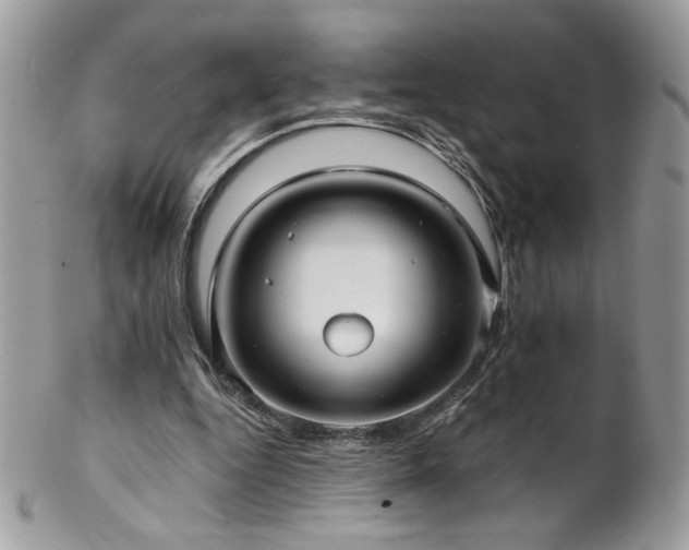 X0000102820344200808181251