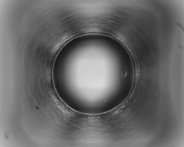 X0000102820345200808181251