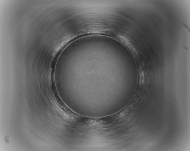 X0000102820346200808181251