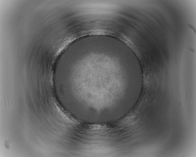 X0000102820347200808181251