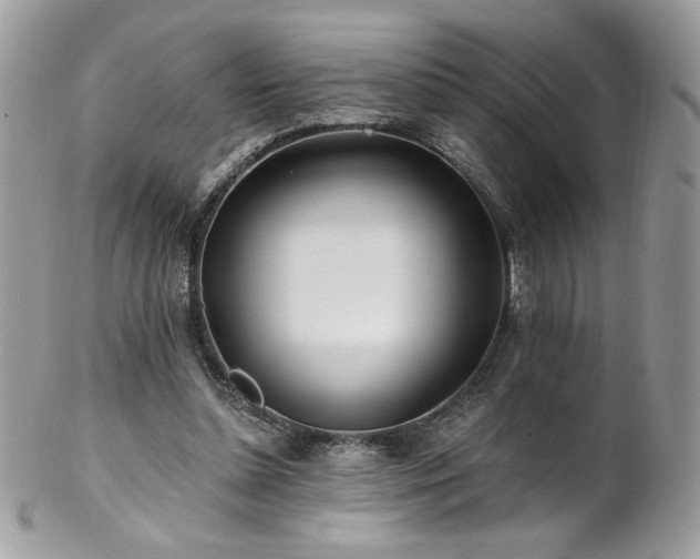X0000102820348200808181251