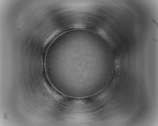 X0000102820349200808181251