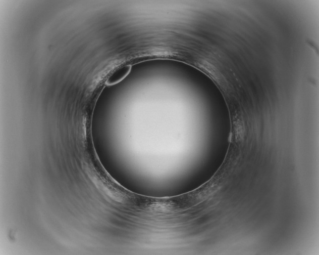 X0000102820350200808181251