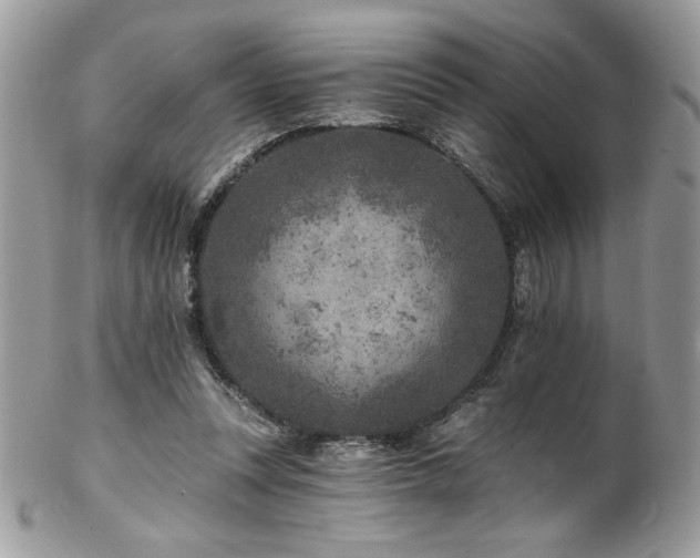 X0000102820351200808181251