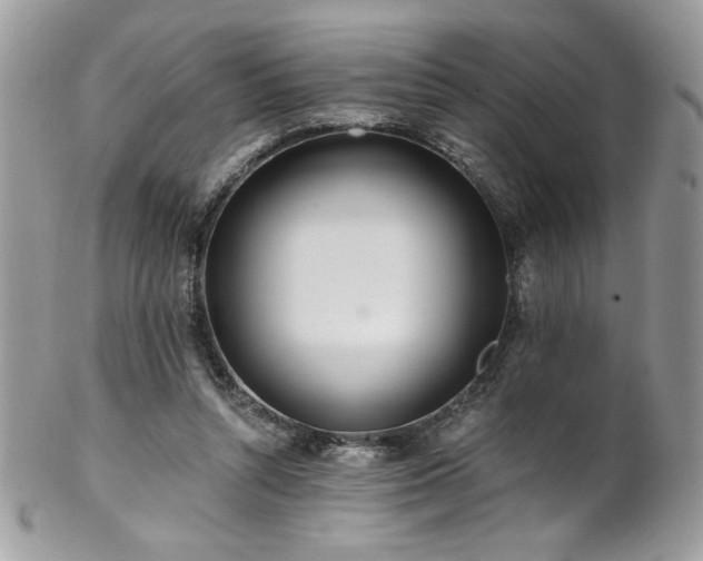 X0000102820352200808181251