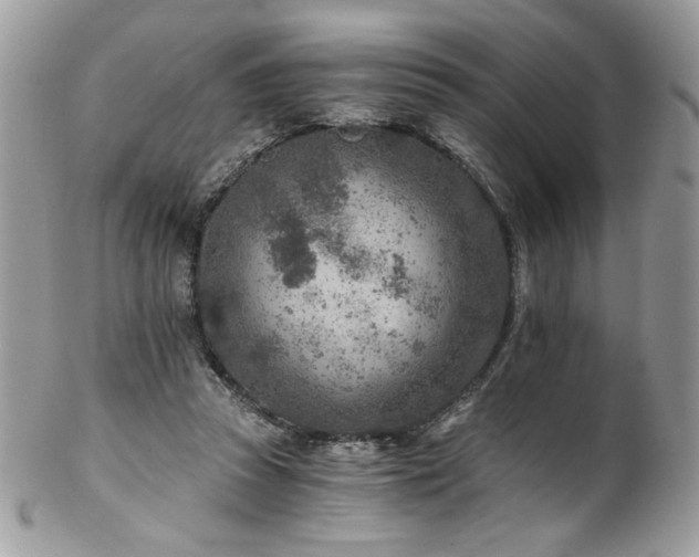 X0000102820353200808181251