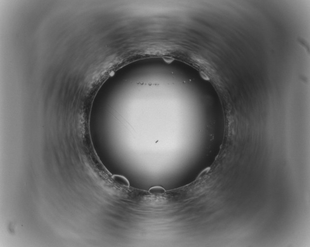 X0000102820354200808181251
