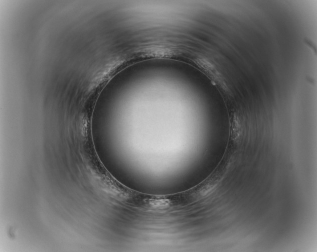 X0000102820355200808181251