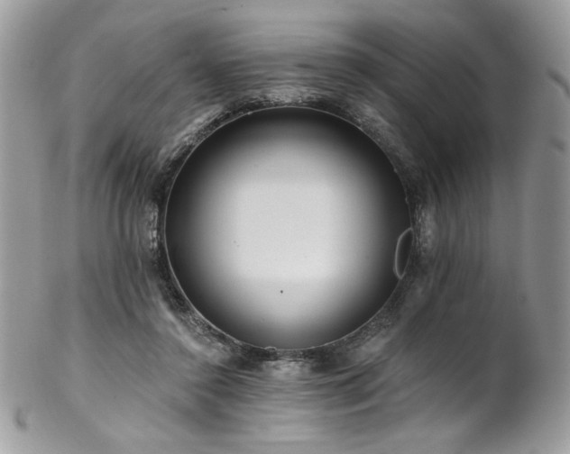 X0000102820356200808181251