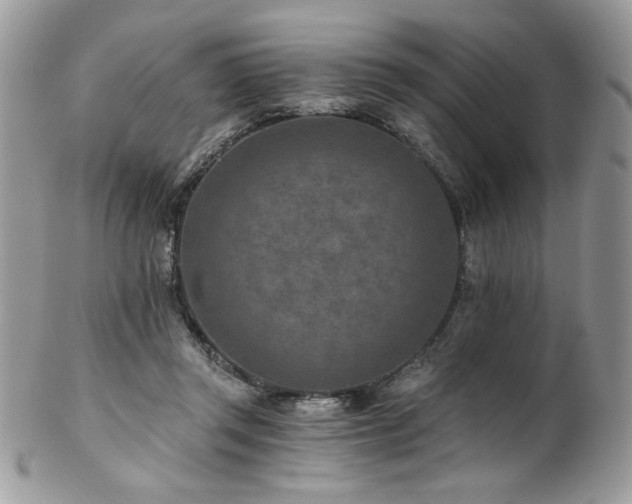 X0000102820357200808181251