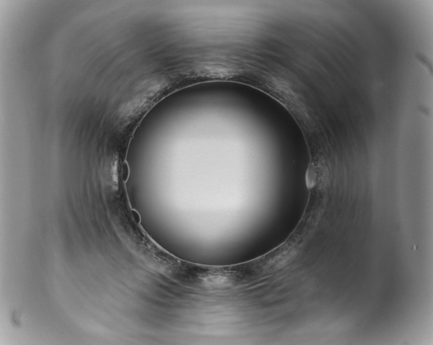 X0000102820358200808181251
