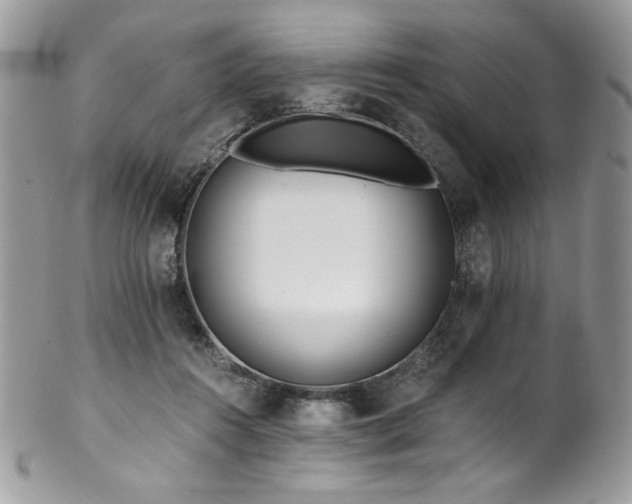 X0000102820360200808181251