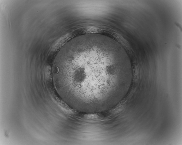X0000102820361200808181251