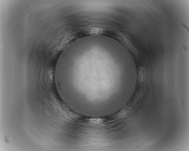 X0000102820363200808181251