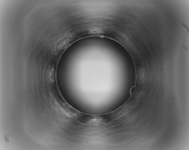 X0000102820364200808181251