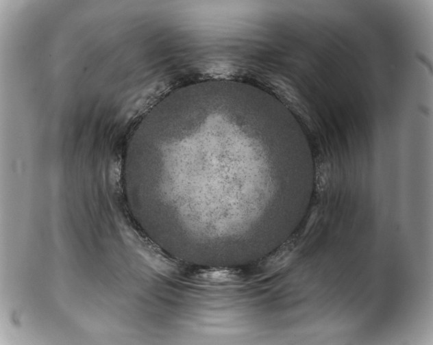 X0000102820365200808181251