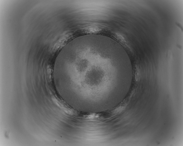 X0000102820366200808181251