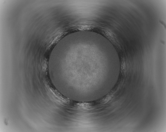X0000102820367200808181251