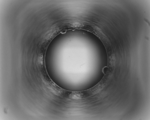 X0000102820368200808181251