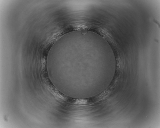 X0000102820369200808181251