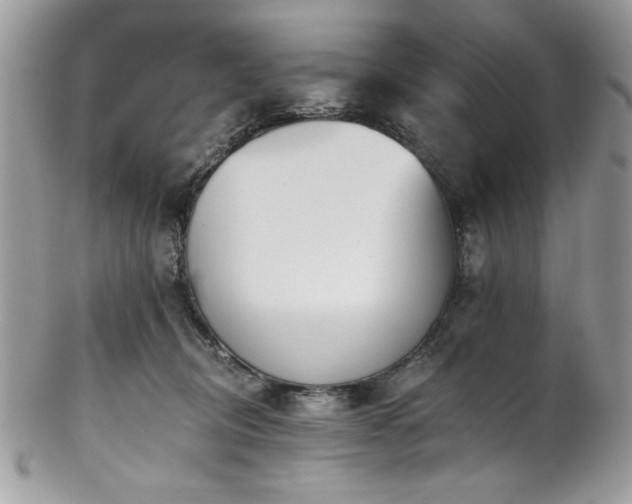 X0000102820370200808181251