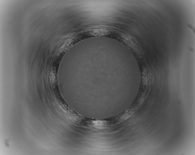 X0000102820371200808181251