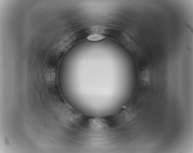 X0000102820372200808181251