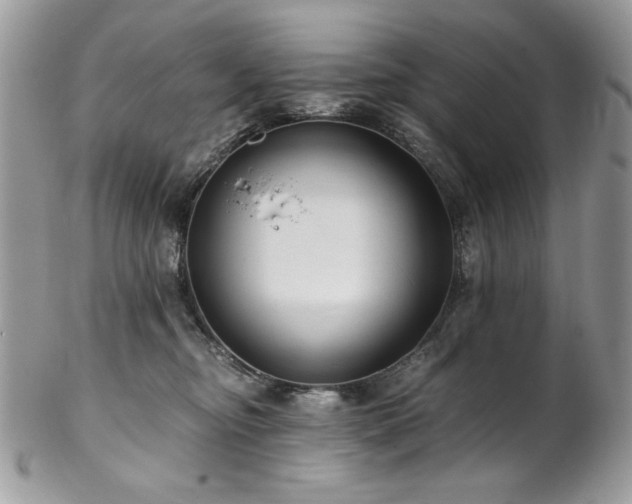 X0000102820374200808181251