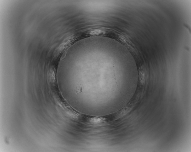 X0000102820375200808181251