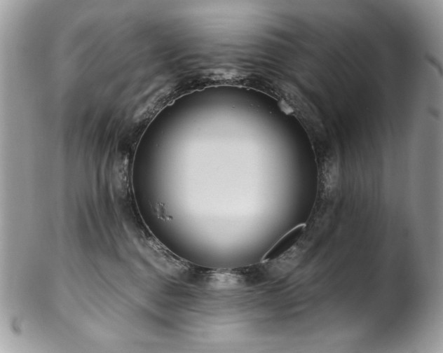 X0000102820376200808181251