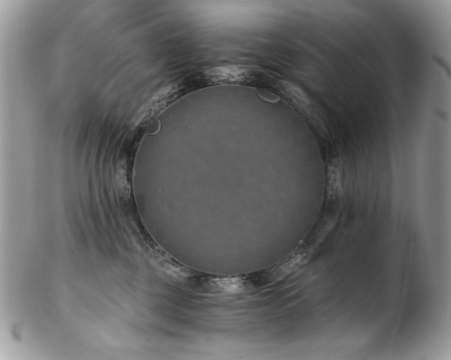 X0000102820377200808181251