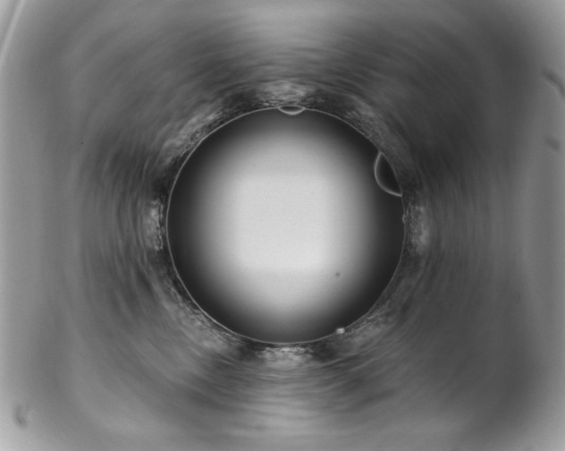 X0000102820378200808181251