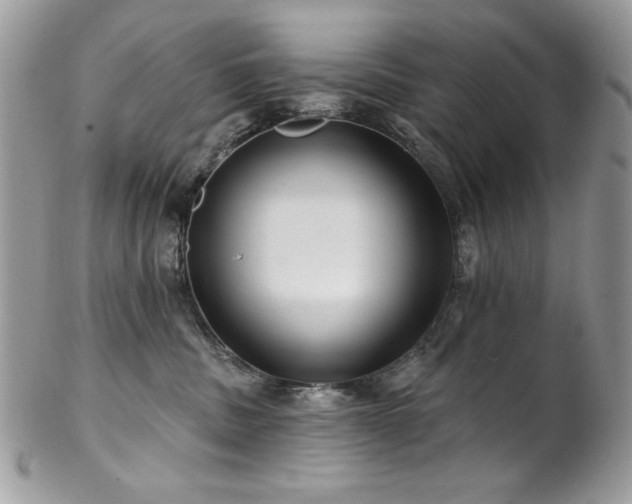 X0000102820379200808181251