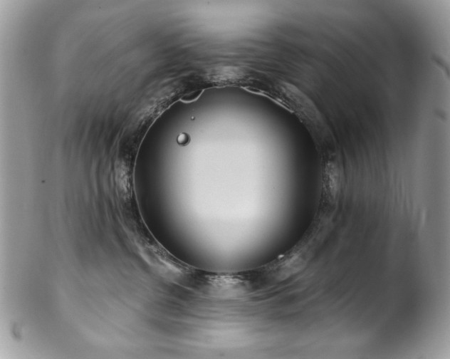 X0000102820380200808181251