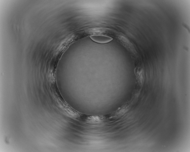 X0000102820381200808181251