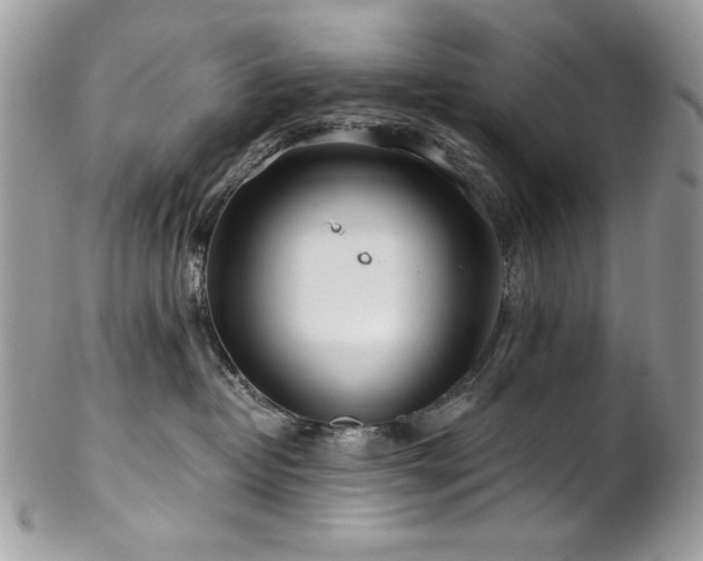 X0000102820382200808181251