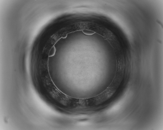 X0000102820383200808181251