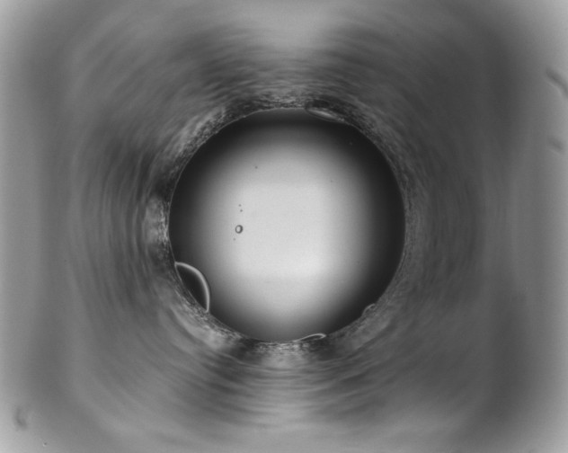 X0000102820384200808181251