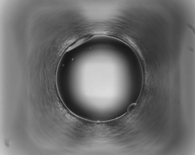 X0000102820385200808181251