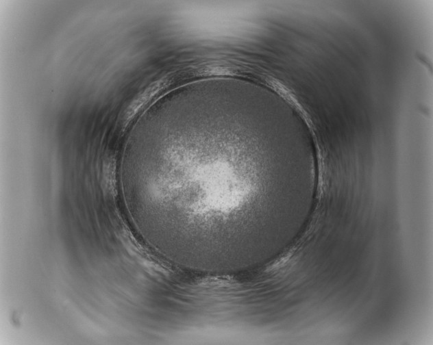 X0000102820386200808181250