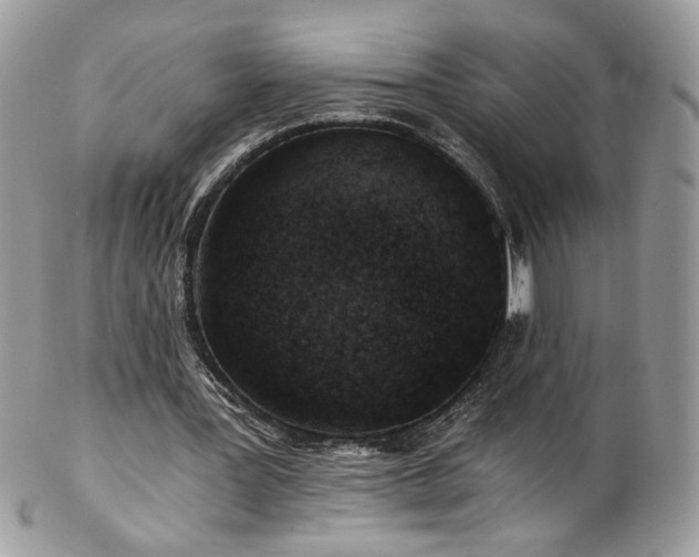 X0000102820387200808181250