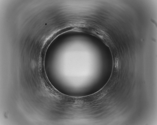 X0000102820388200808181250