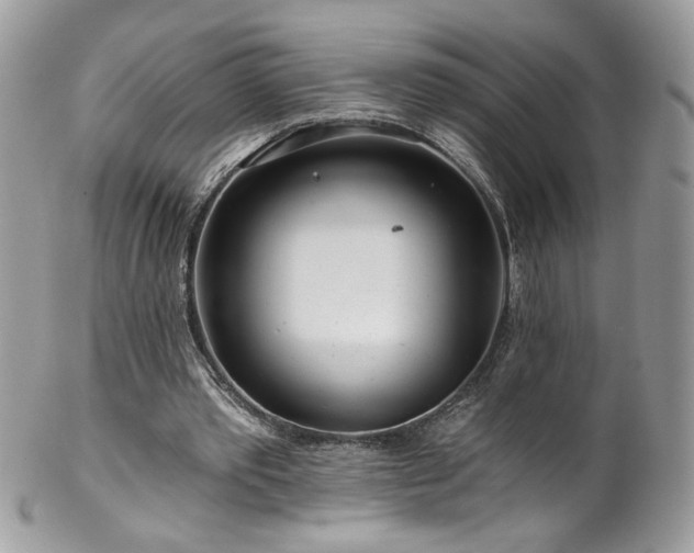 X0000102820389200808181250