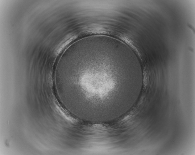X0000102820390200808181250