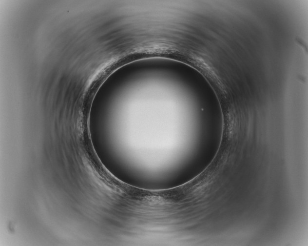 X0000102820392200808181250