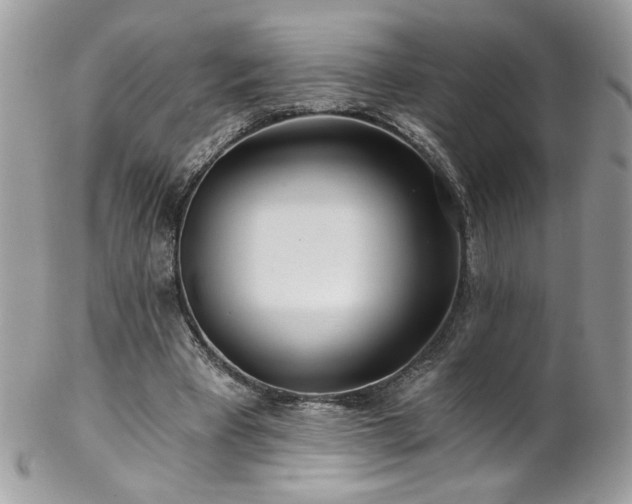 X0000102820393200808181250