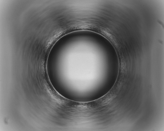 X0000102820394200808181250