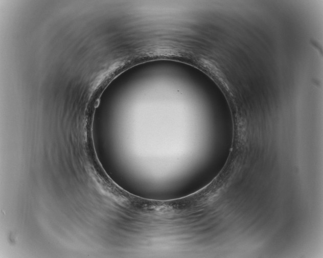 X0000102820395200808181250