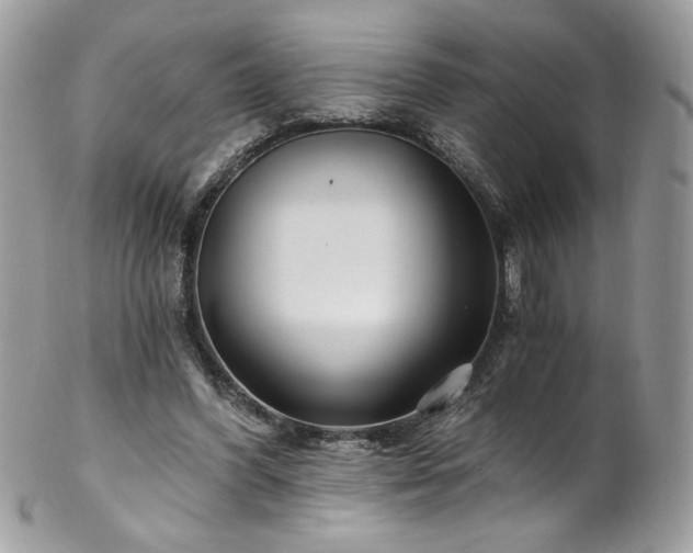X0000102820396200808181250