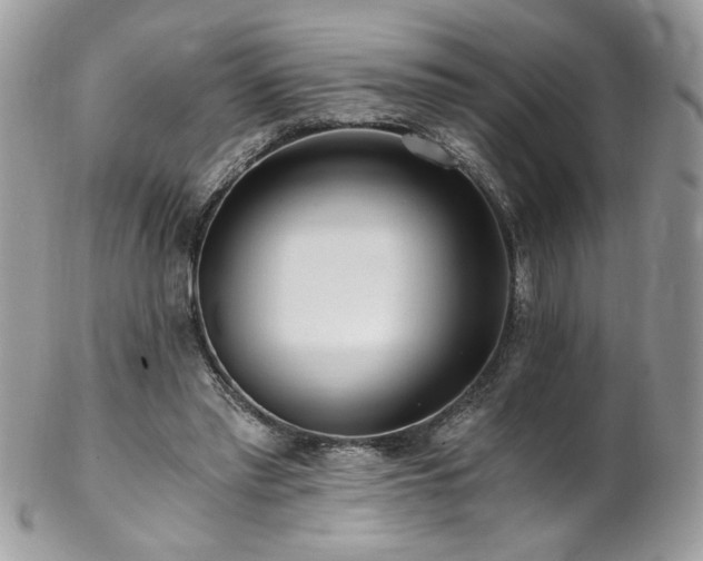 X0000102820397200808181250